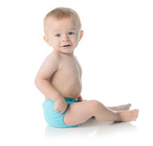 Velcro Snap-in-One Cloth Diaper